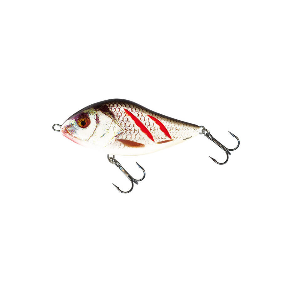 SALMO picture