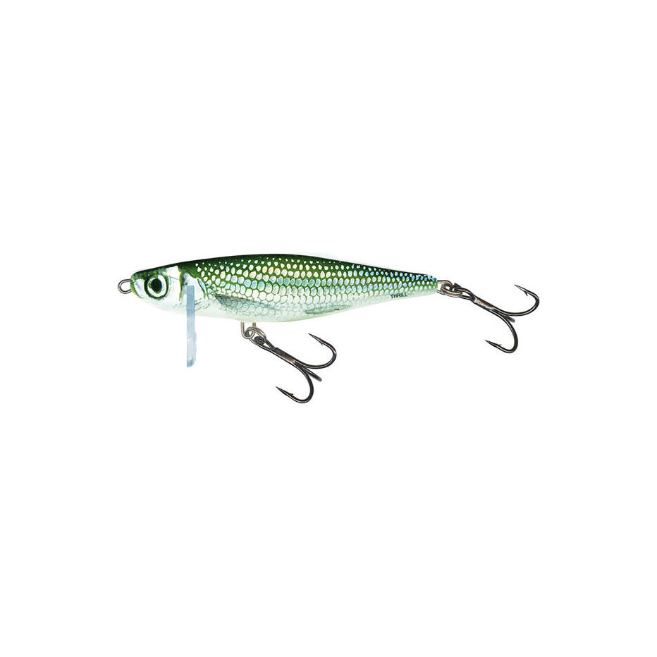 SALMO picture