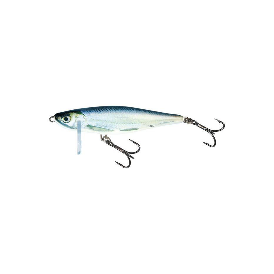 SALMO picture