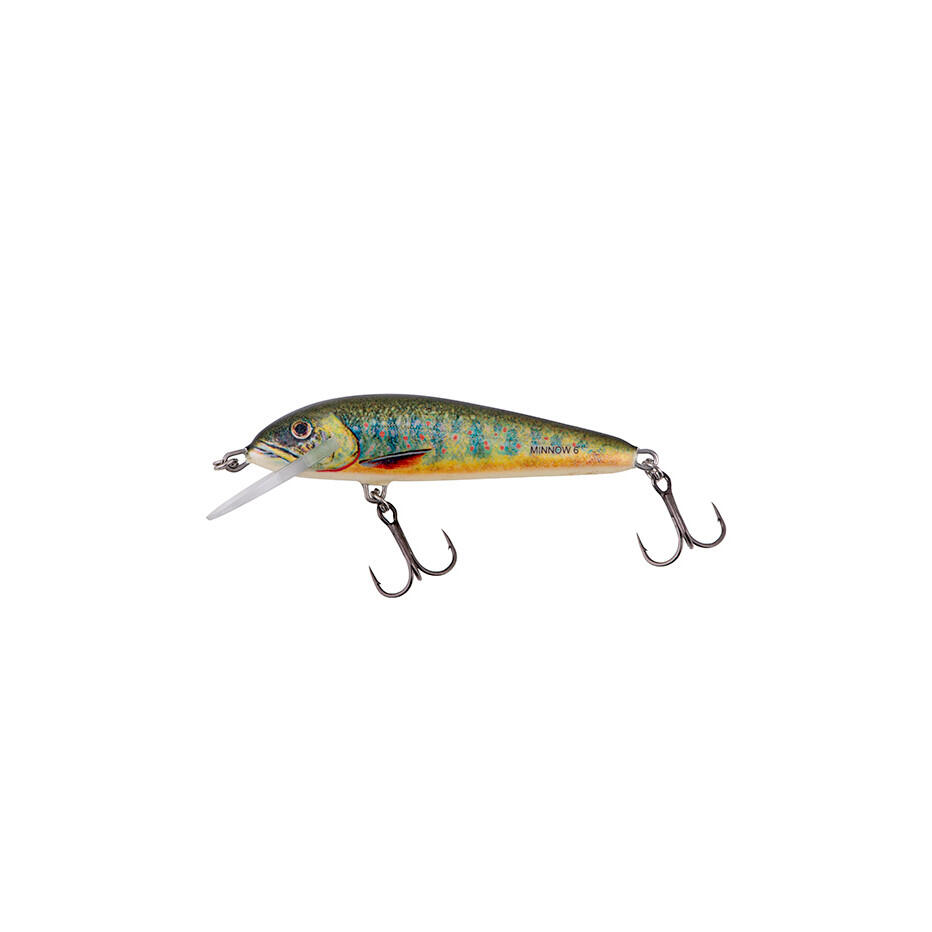 SALMO picture