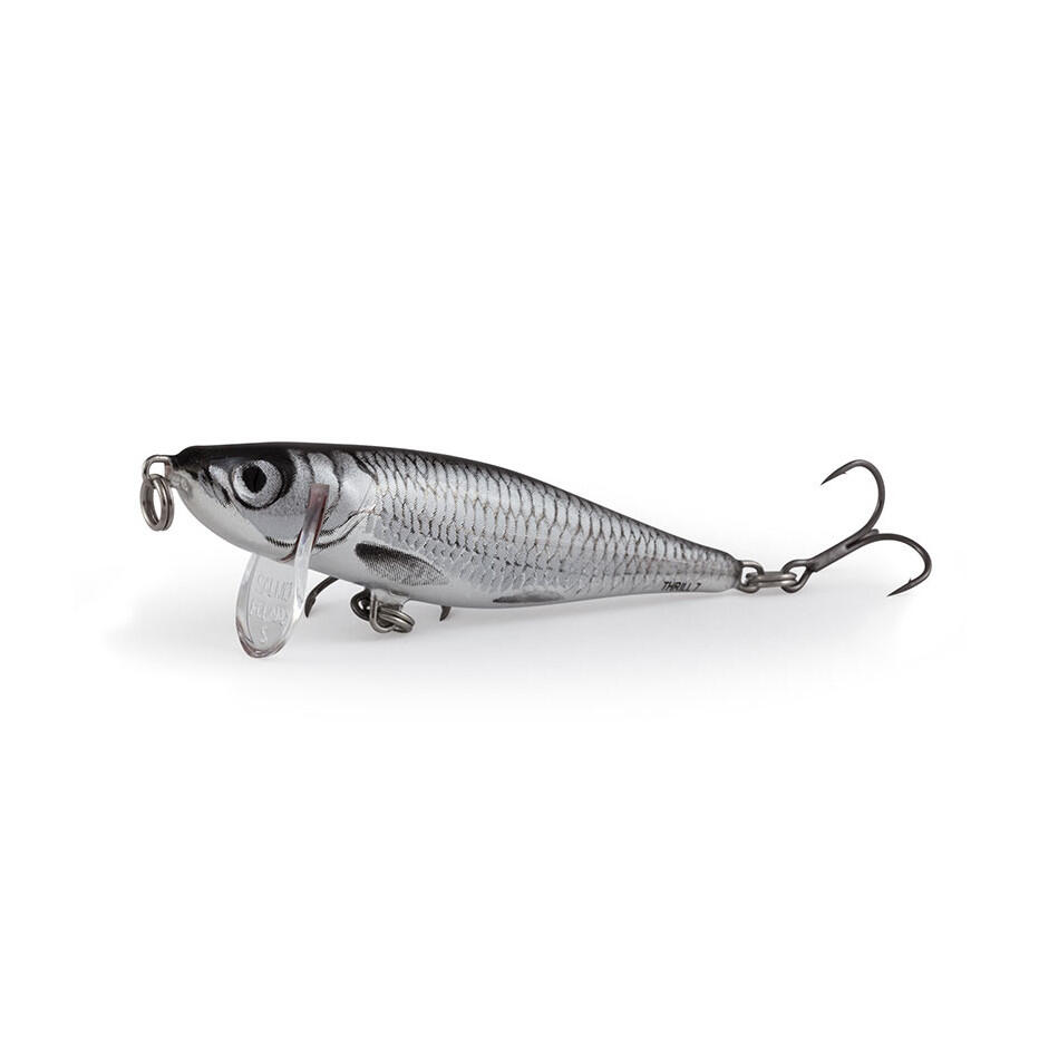 SALMO picture