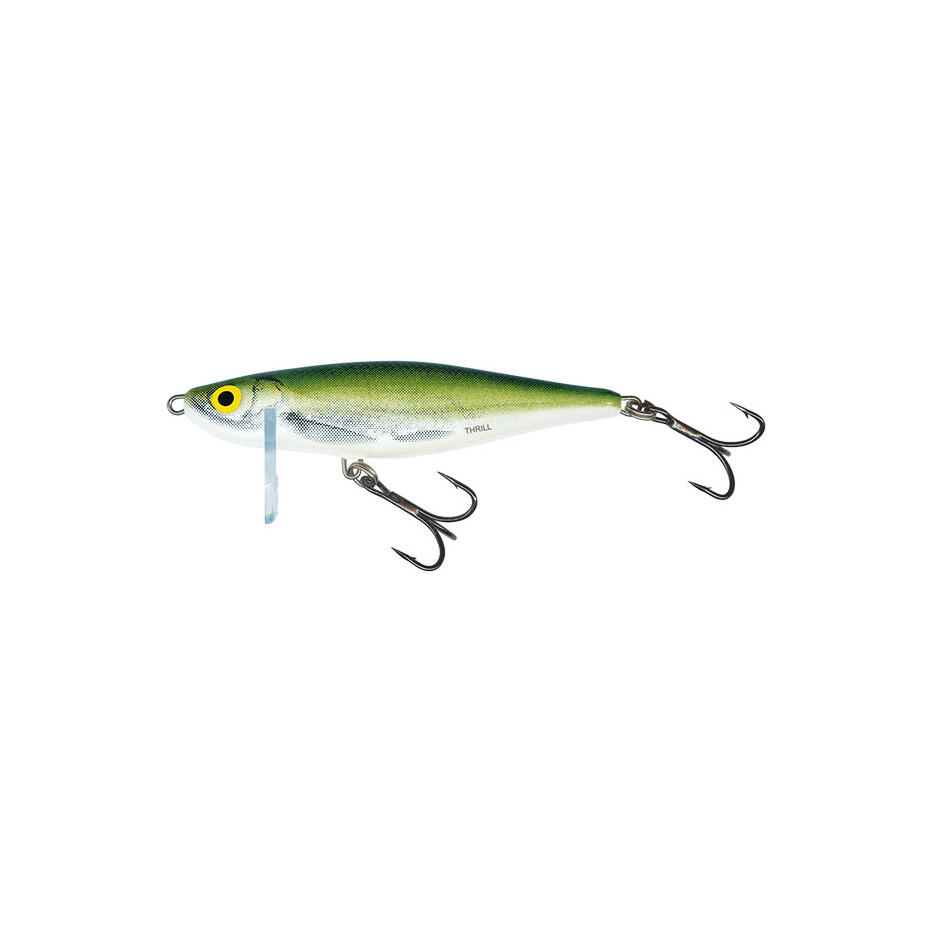 SALMO picture