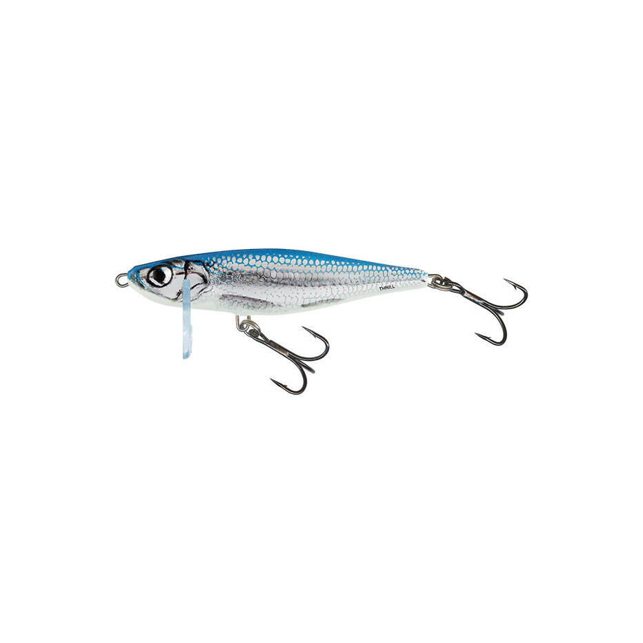 SALMO picture