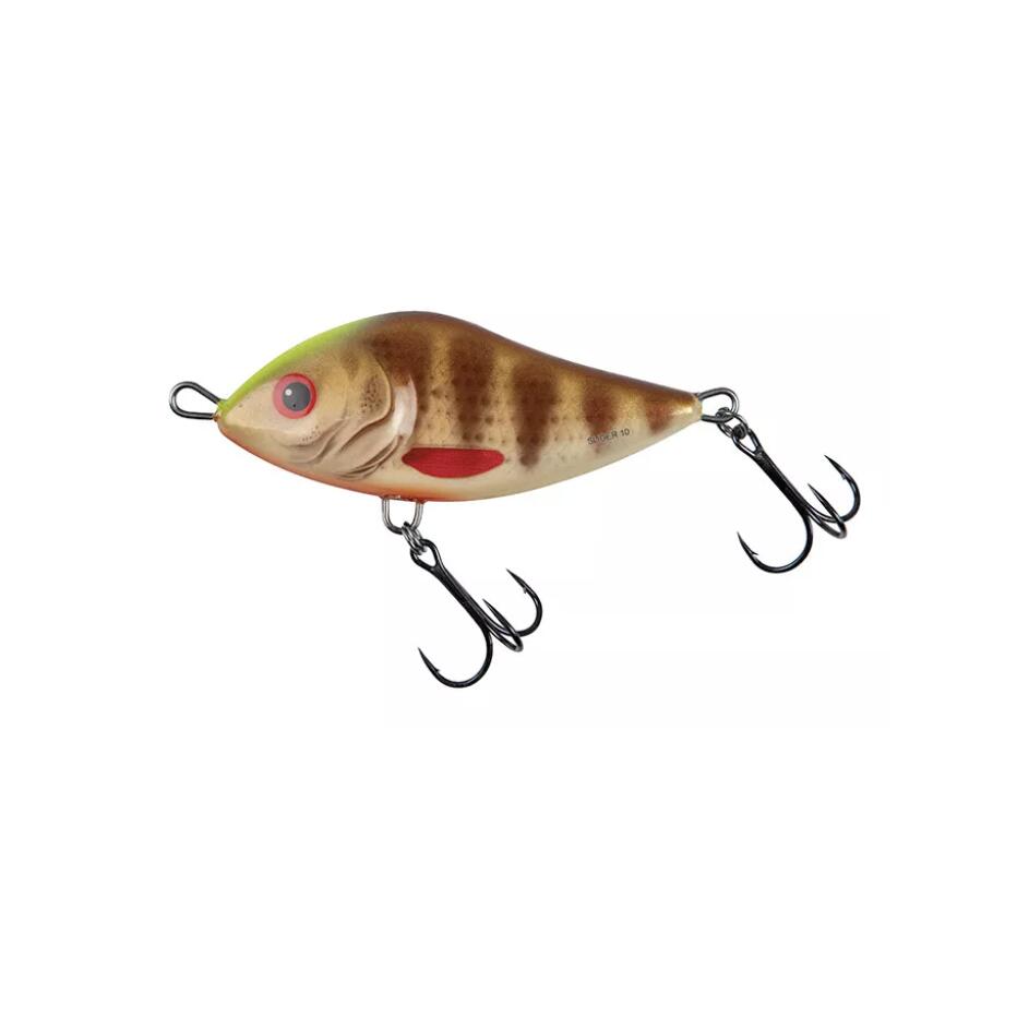 SALMO picture
