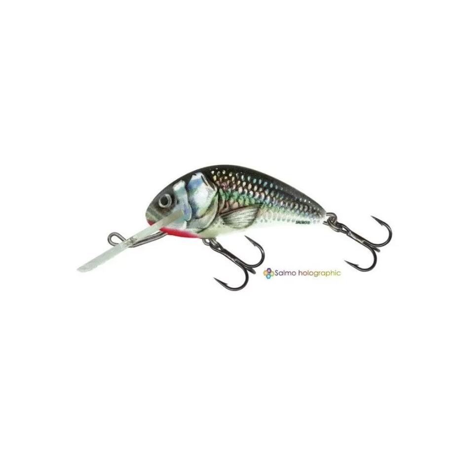 SALMO picture