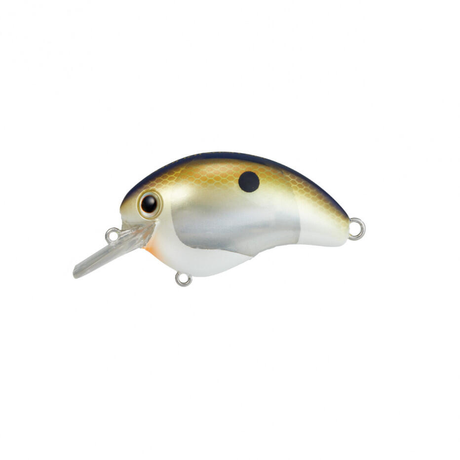 SHIMANO picture