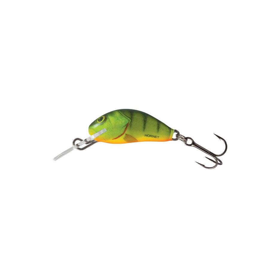 SALMO picture