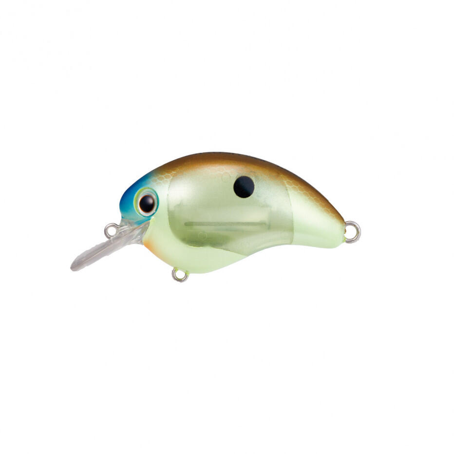 SHIMANO picture