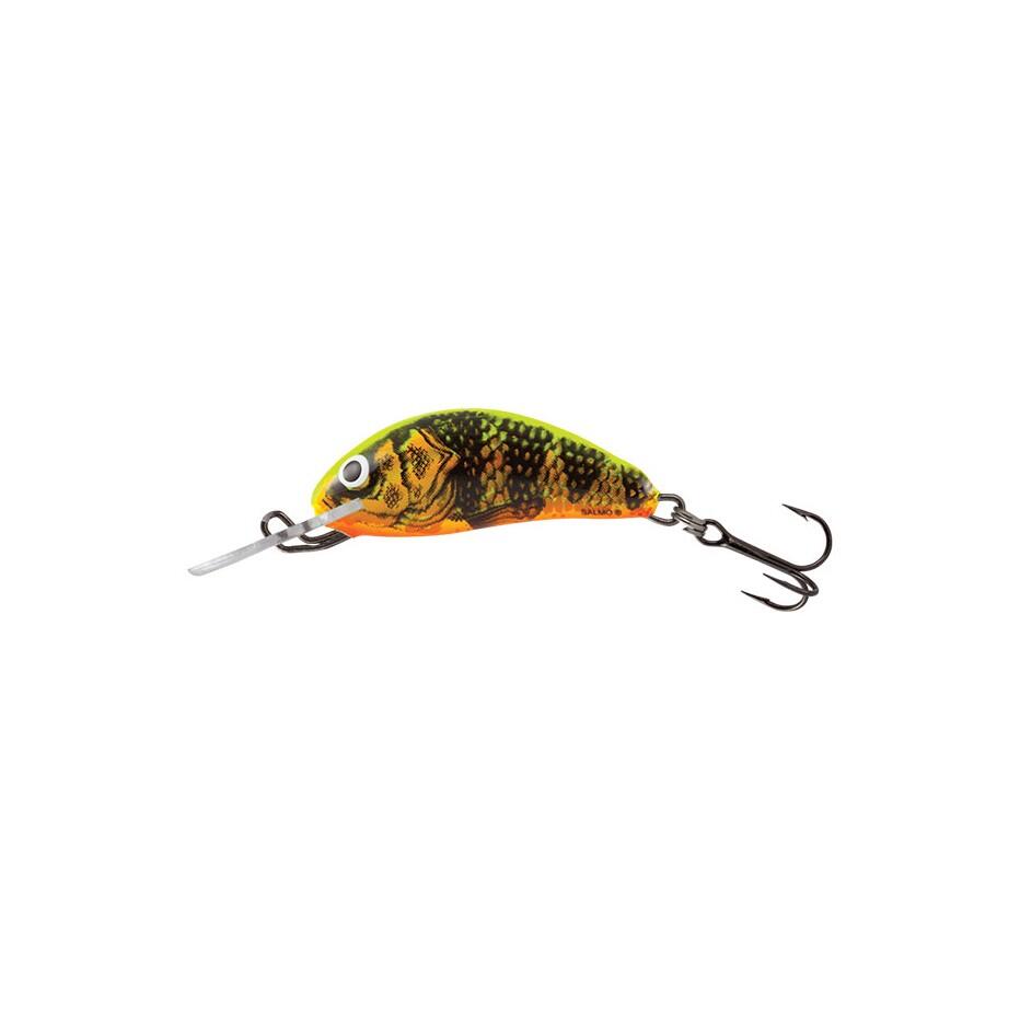 SALMO picture