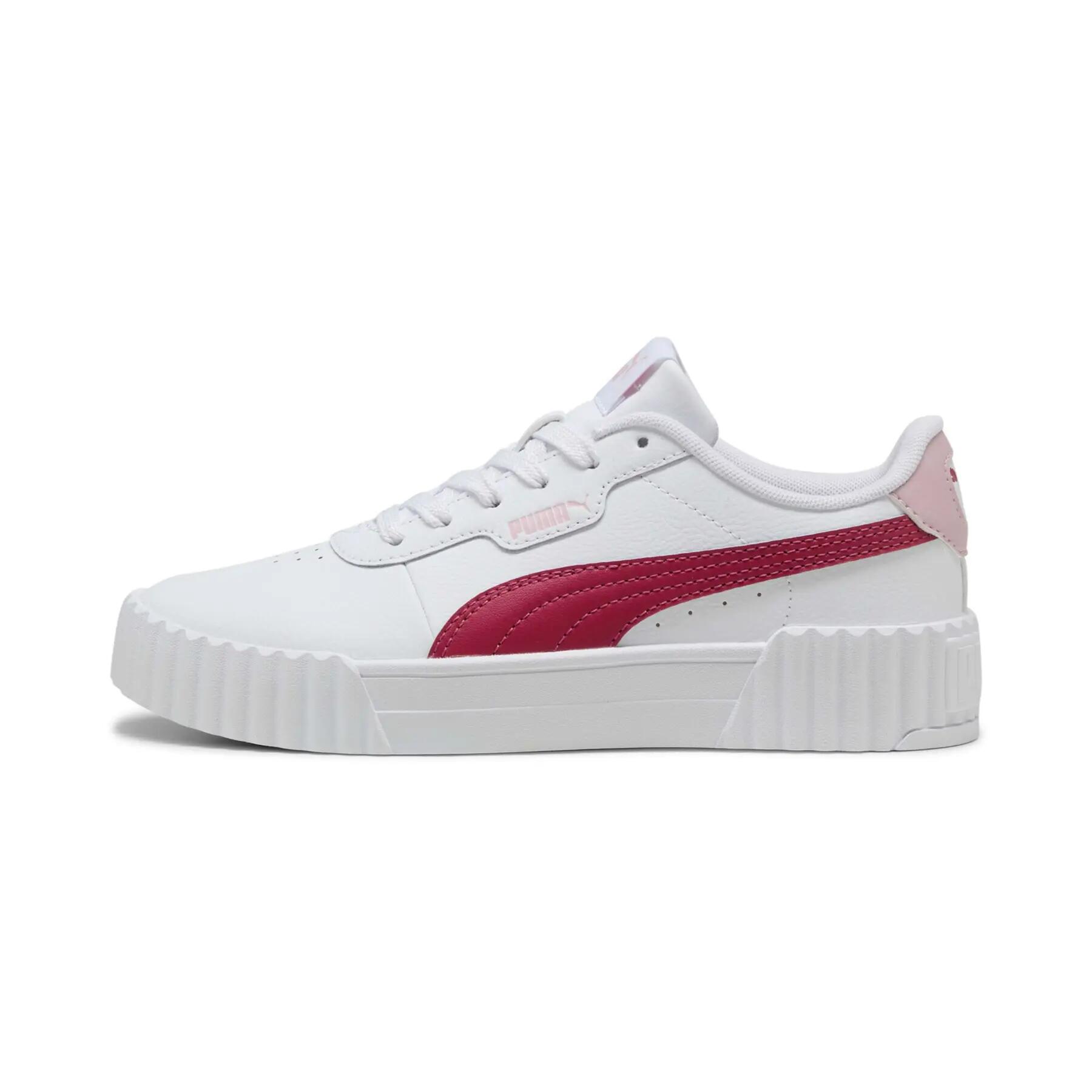 PUMA picture