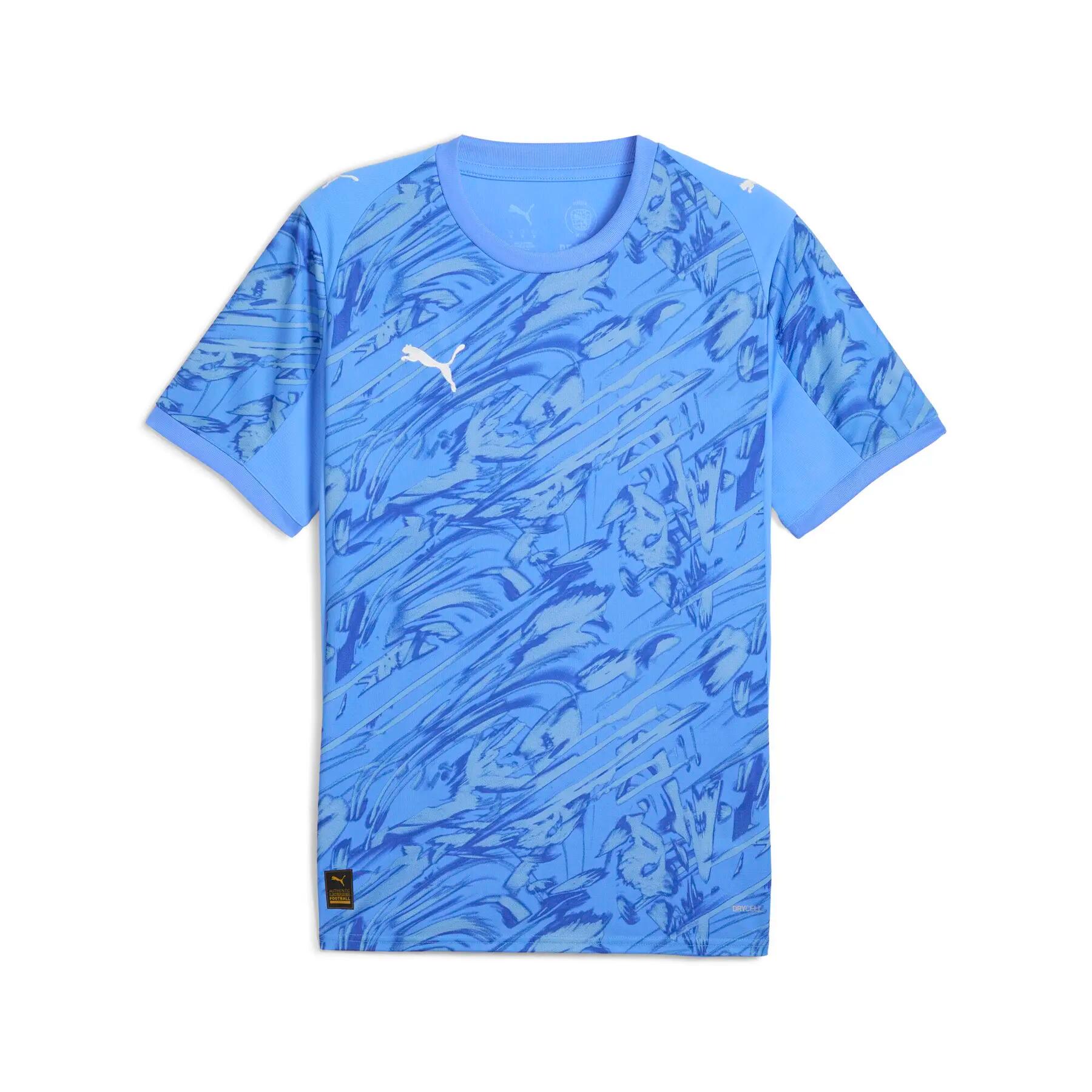 PUMA picture