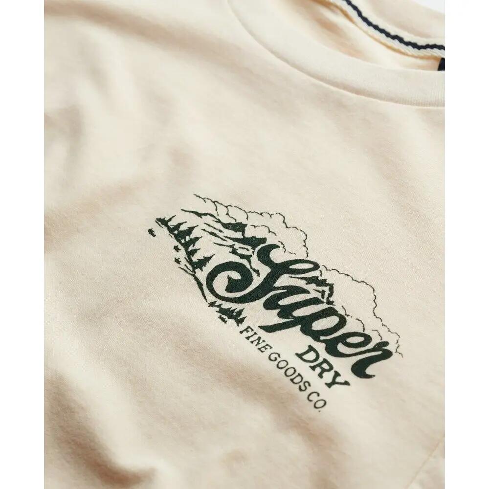 T-shirt Superdry Lo-fi Outdoors Relaxed 2/2