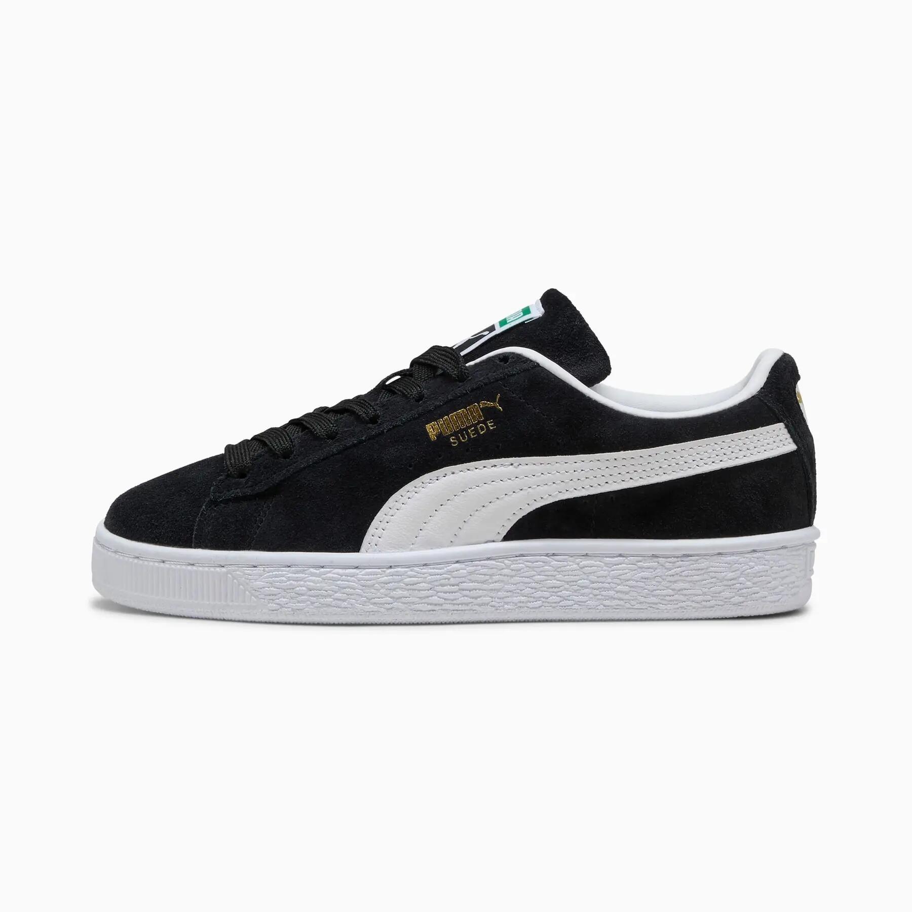 PUMA picture