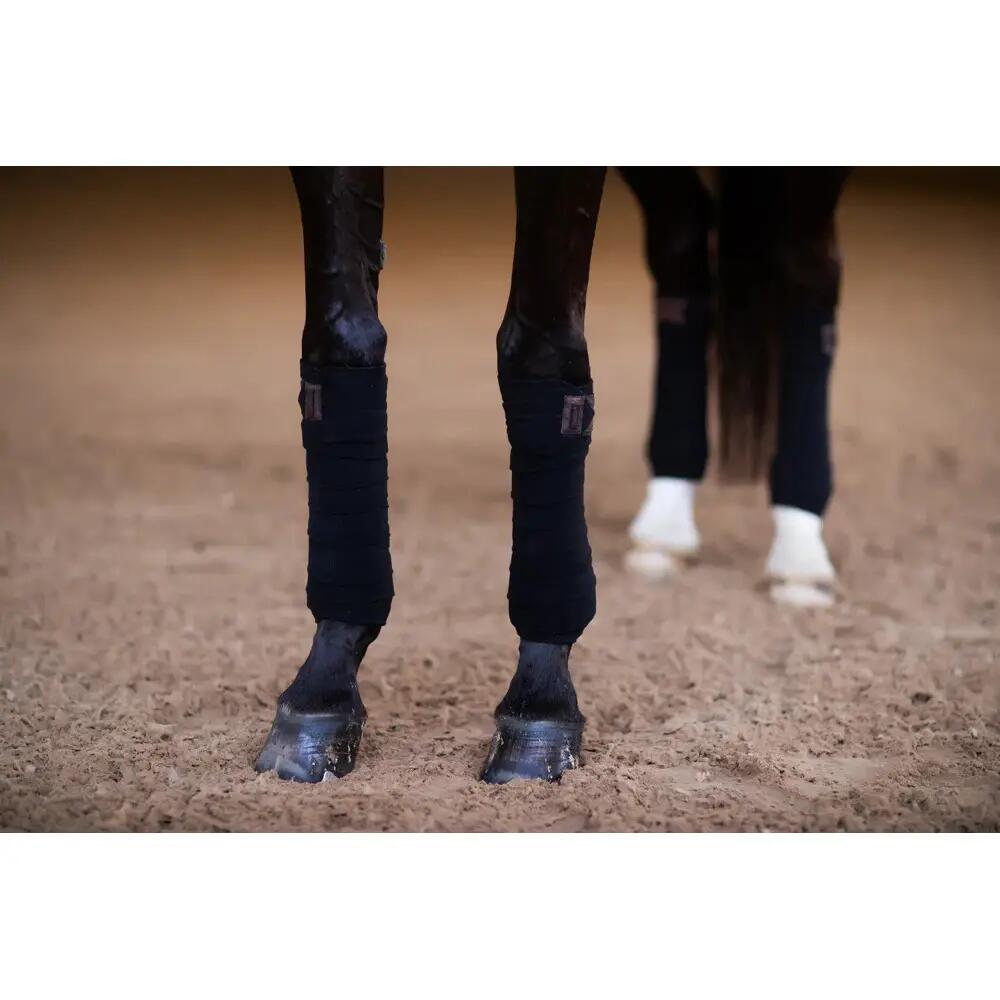 Polobänder für Pferde Equestrian Stockholm 3/4