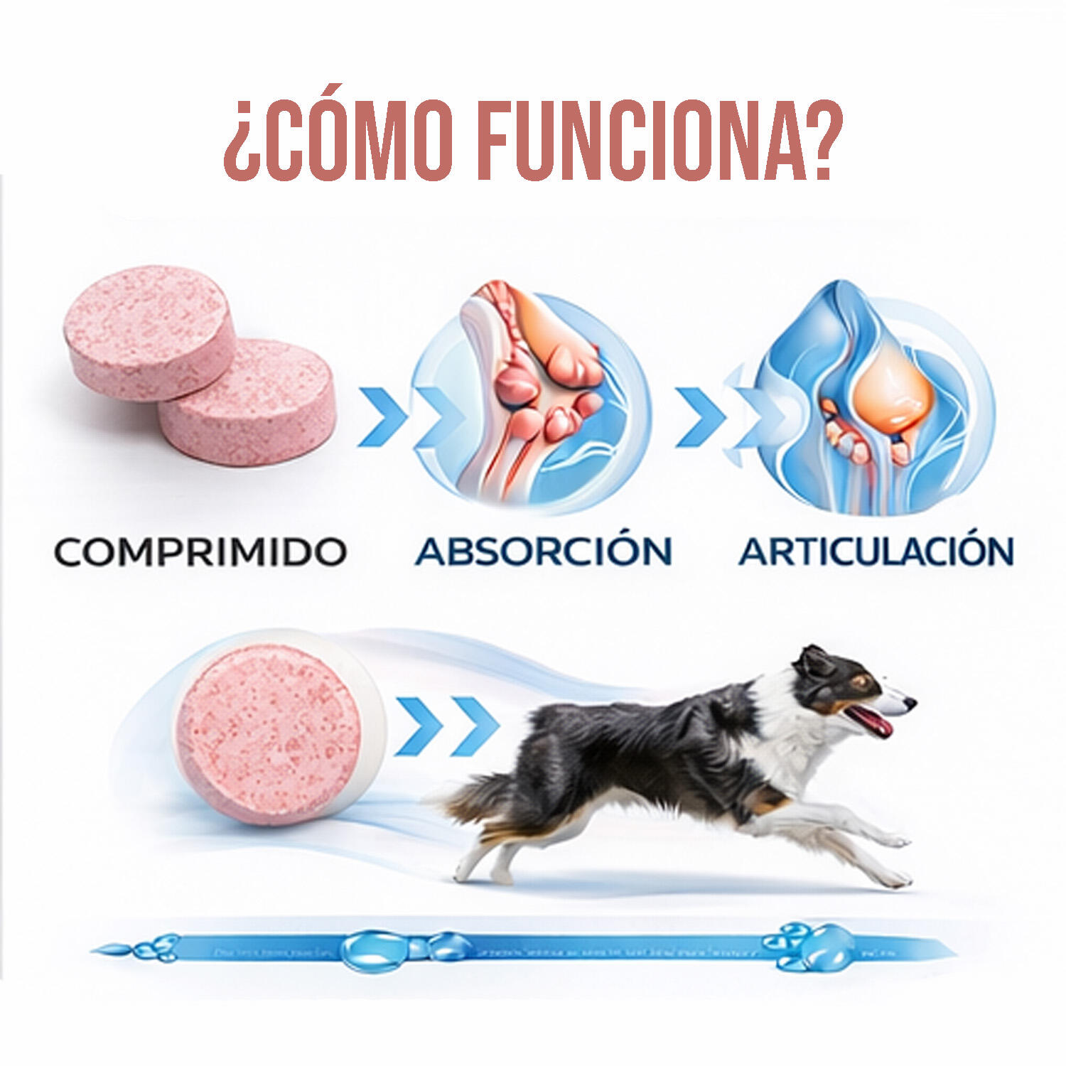 Condroprotector Mascotas Unisex LABORATORIOS PINO Pinoquin Plus 30 Comp 5/5