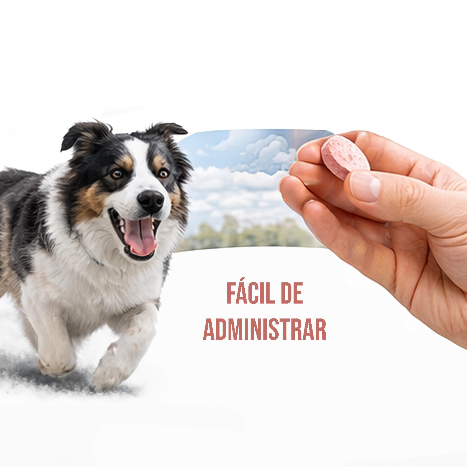 Condroprotector Mascotas Unisex LABORATORIOS PINO Pinoquin Plus 30 Comp 4/5
