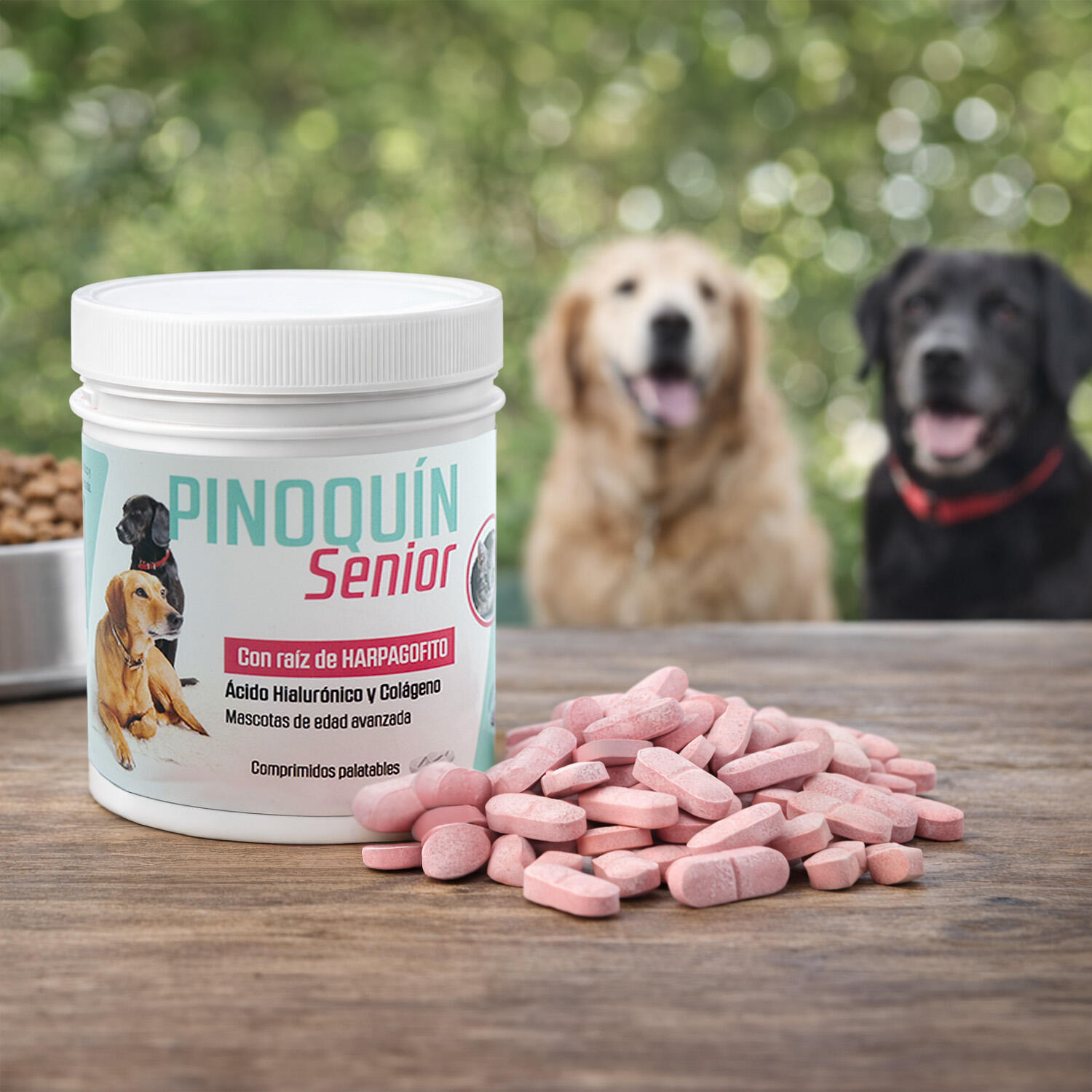 Condroprotector Senior Mascotas LABORATORIOS PINO Pinoquin Senior 160 4/5