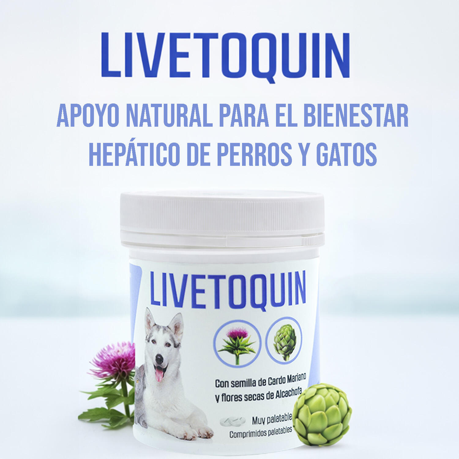 Suplemento Hepático Mascotas LABORATORIOS PINO Livetoquin 160 Comp 3/5