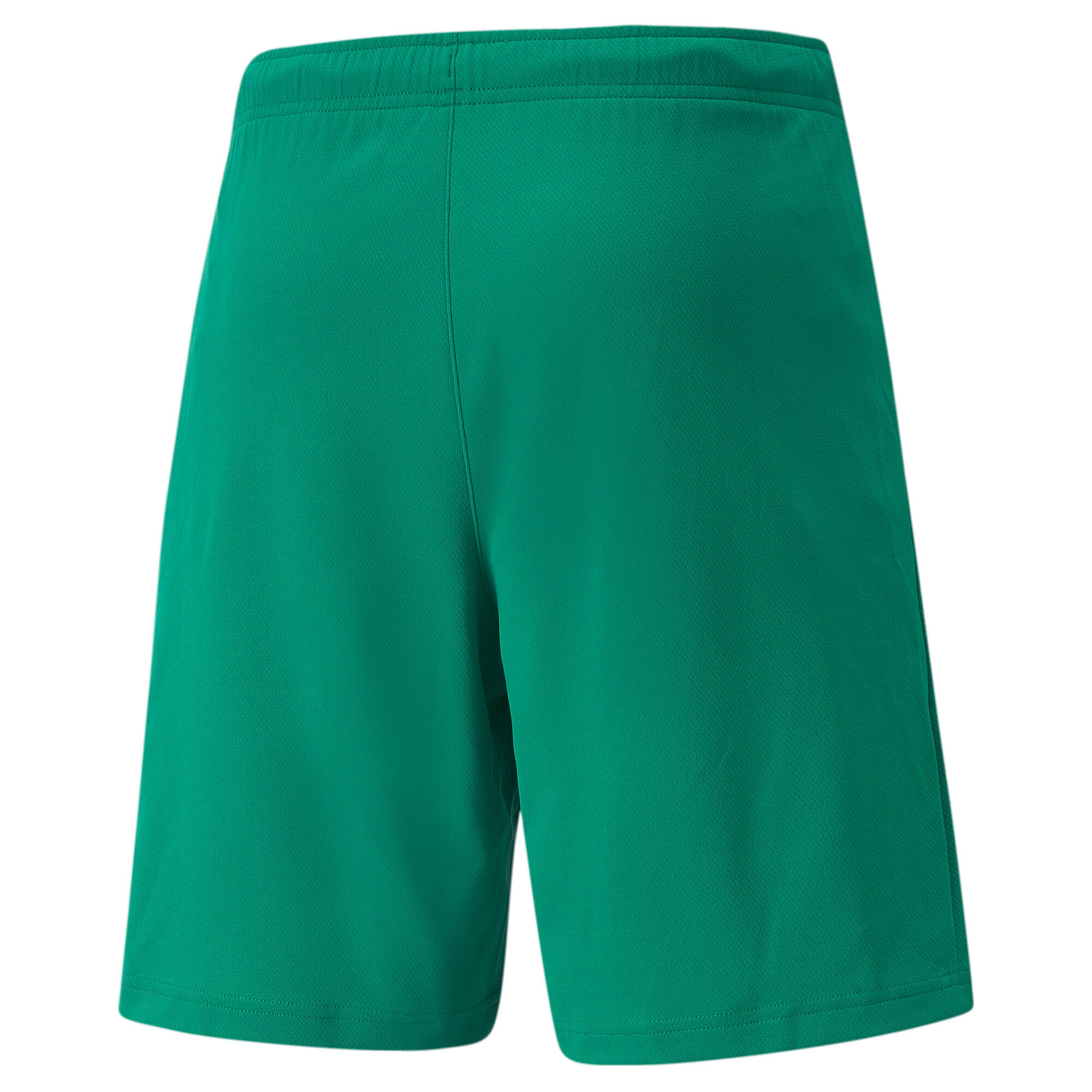 Short Puma teamRISE 2/4