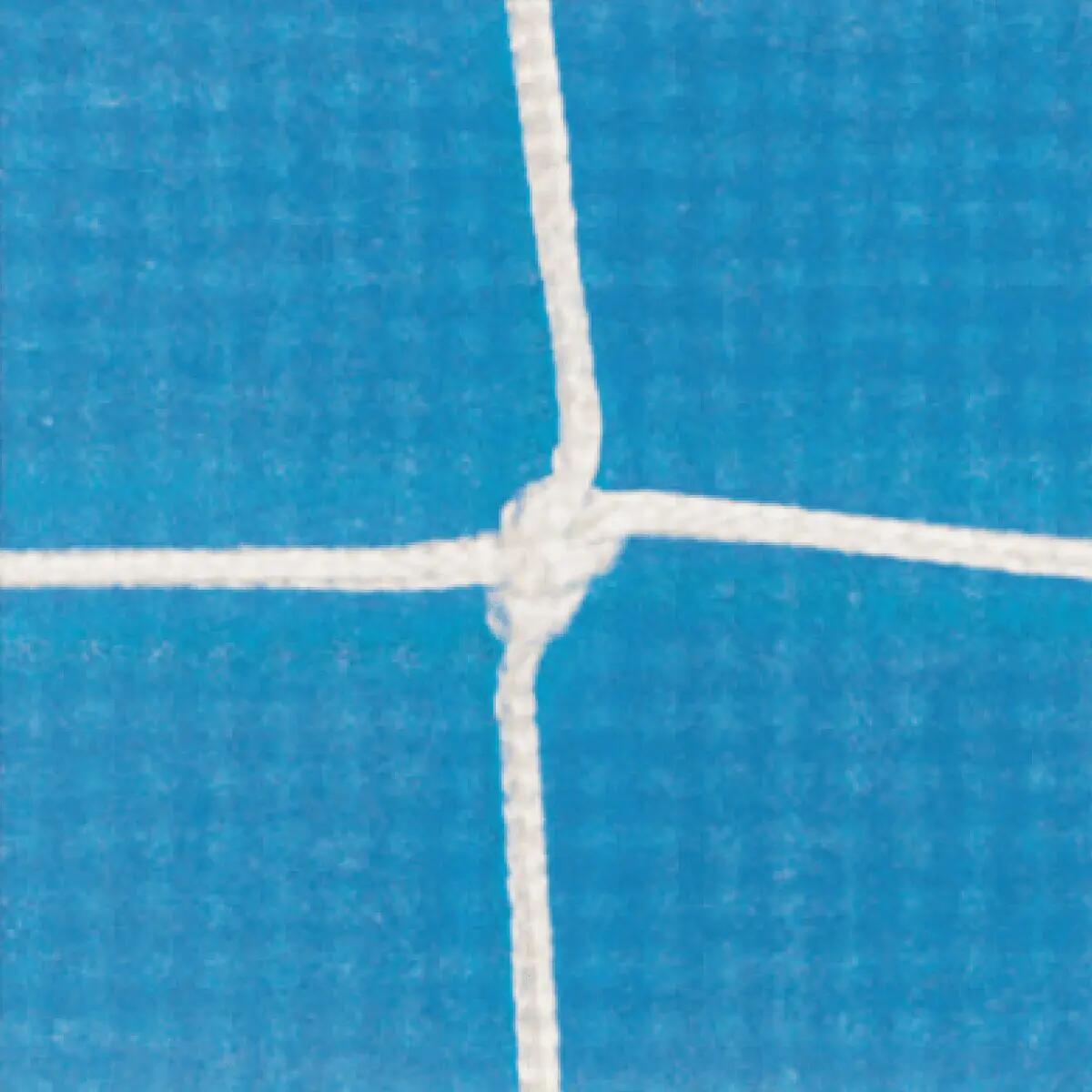 SPORTI FRANCE picture