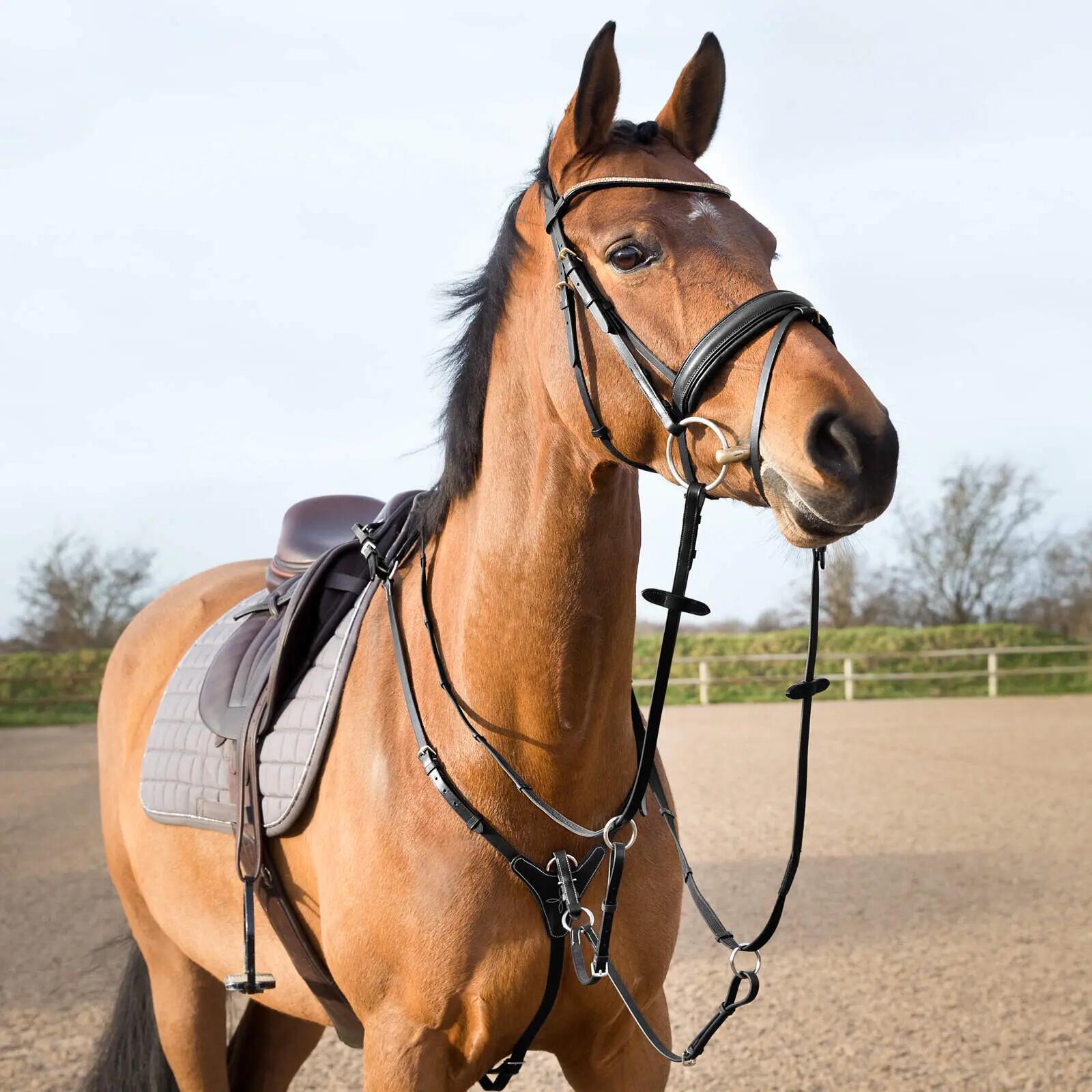 Collier de chasse pour cheval réglable Horze 2/5