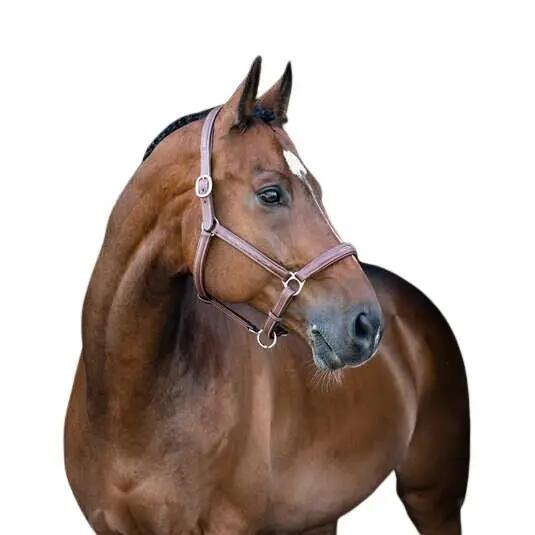 Cabezada de cuero suave para caballos Horze Warren 2/2