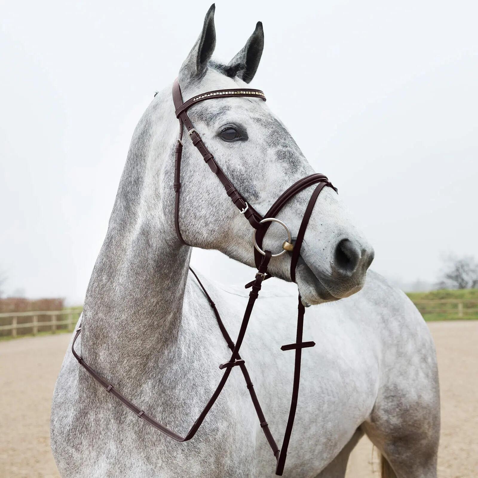 Rênes pour cheval bredies Horze Slender 3/5