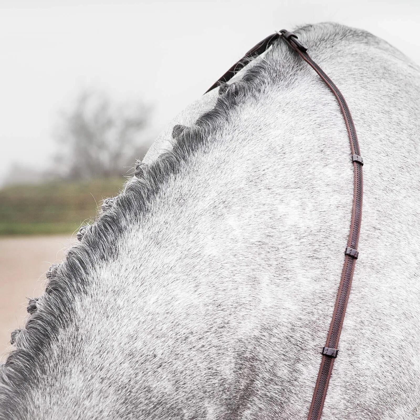 Rênes pour cheval bredies Horze Slender 5/5