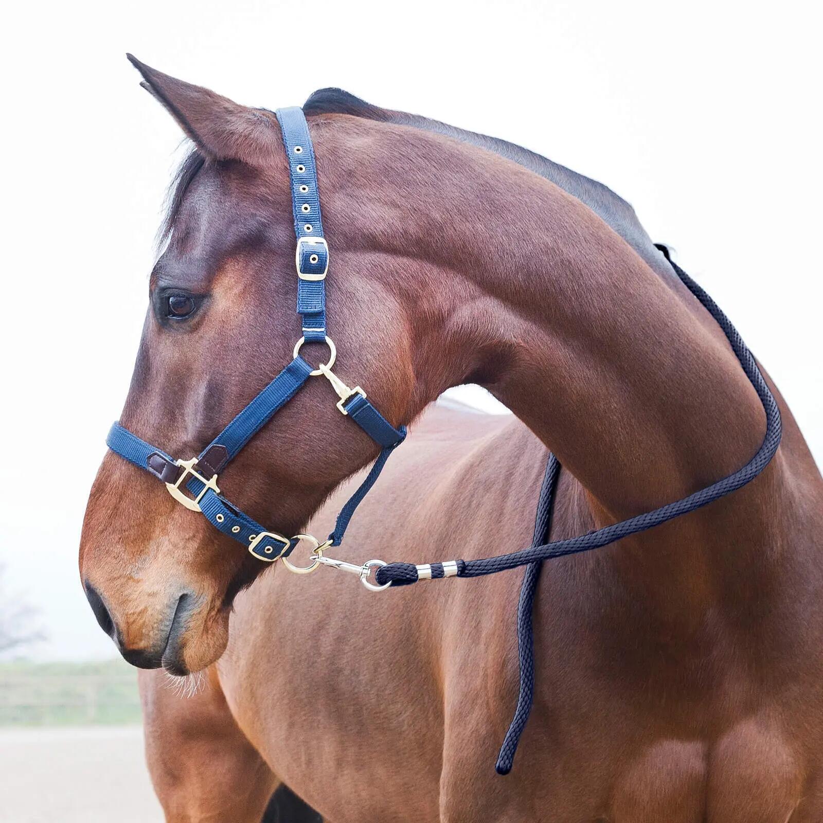 Lanyard with anti-panic carabiner for horses Horze 2/3