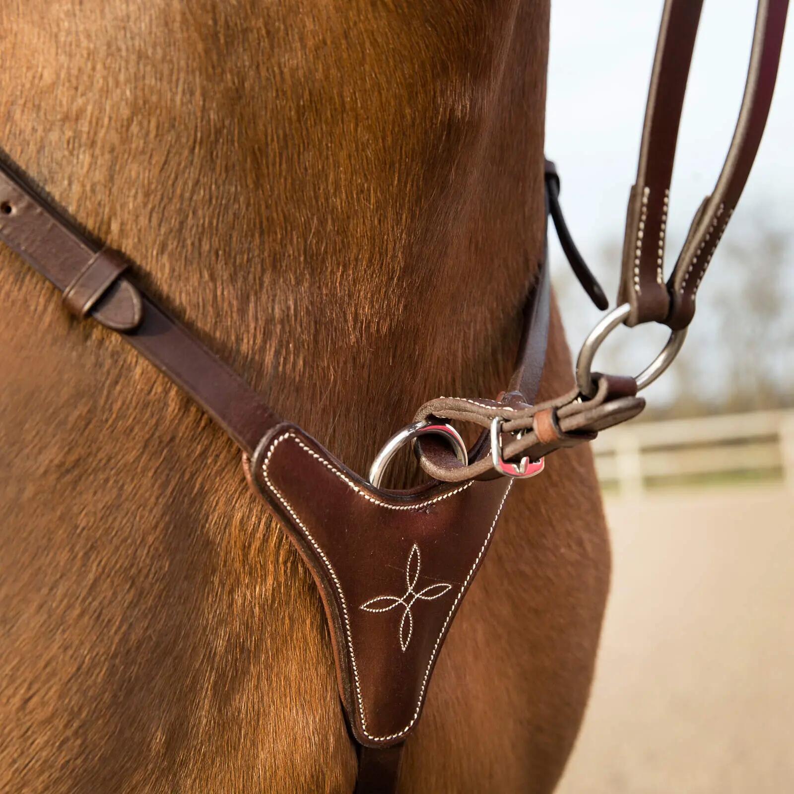 Collier de chasse pour cheval réglable Horze 3/5