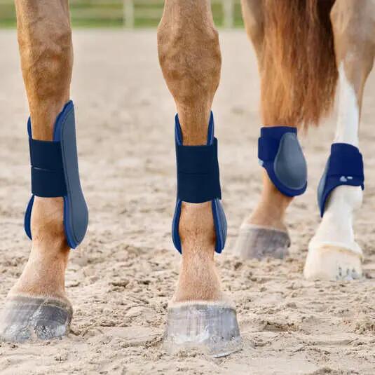 Guêtres antérieurs pour cheval Ouvertes des tendons Horze Chicago 5/5