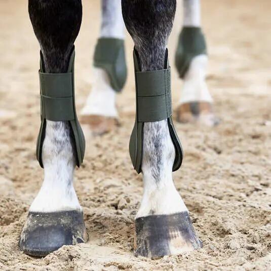 Fetlock guards Horze Adepto 5/5