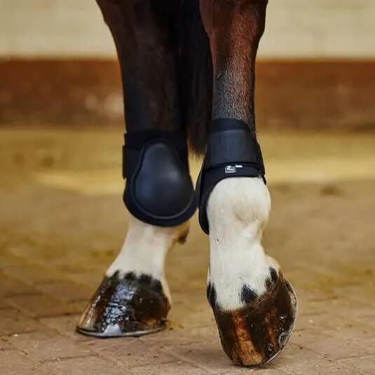 Fetlock Protectors Horze Chicago 4/5