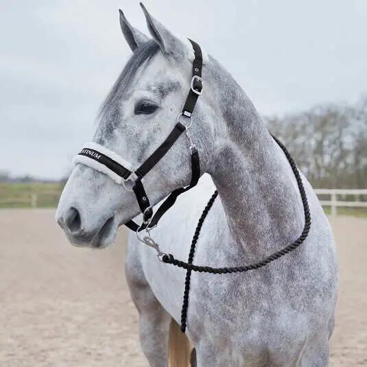 Paardenkoord met karabijnhaak Horze Howard 2/2