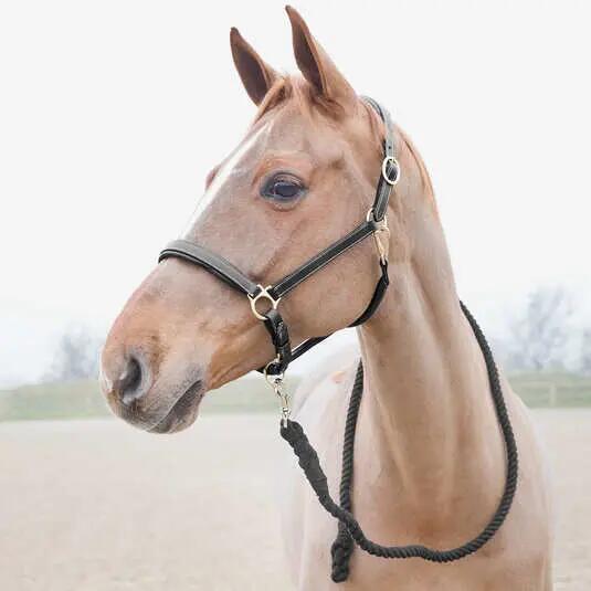 Lanyard with carabiner for horse Horze Price-Z 2/2
