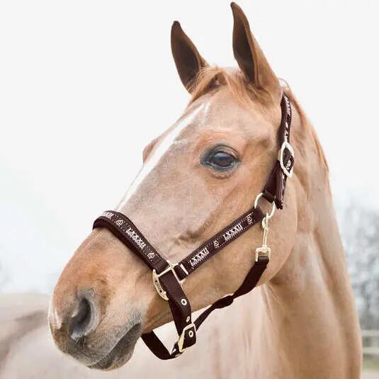 Licol pour cheval Horze Hamptons 2/2