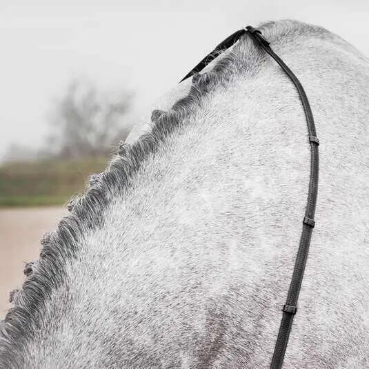 Rênes pour cheval bredies Horze Slender 4/5