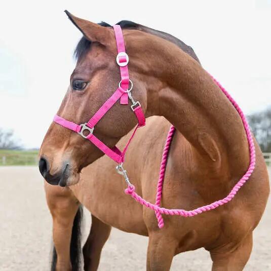 Basic horse lanyard Horze 2/2