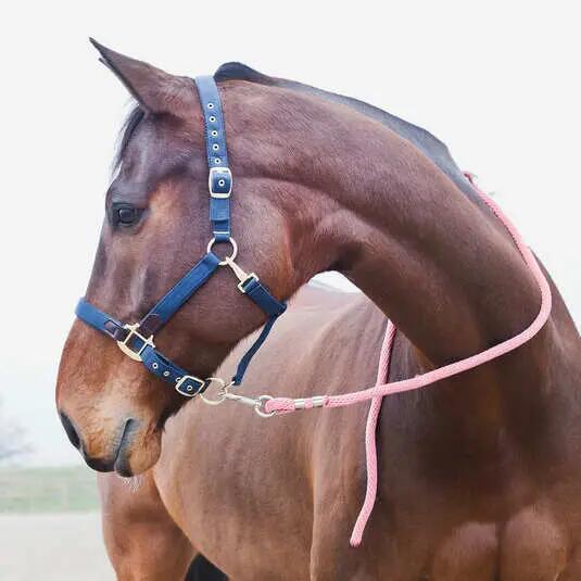 Lanyard with anti-panic carabiner for horses Horze 3/3