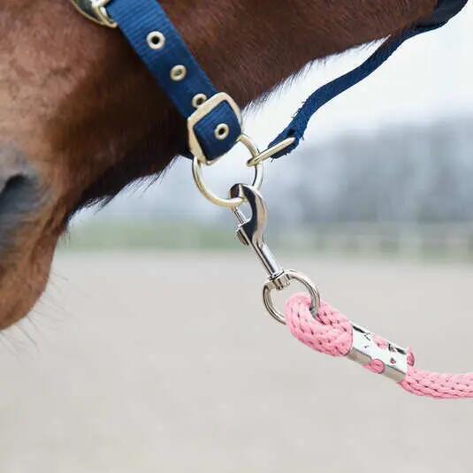 Lanyard with anti-panic carabiner for horses Horze 2/3