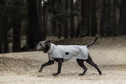 Impermeabile per cane Kentucky 0g 5/7