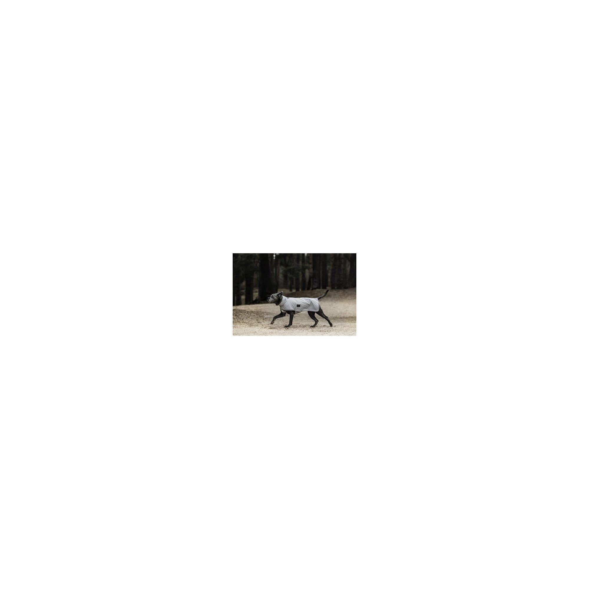 Kentucky Dog Raincoat Blauw -