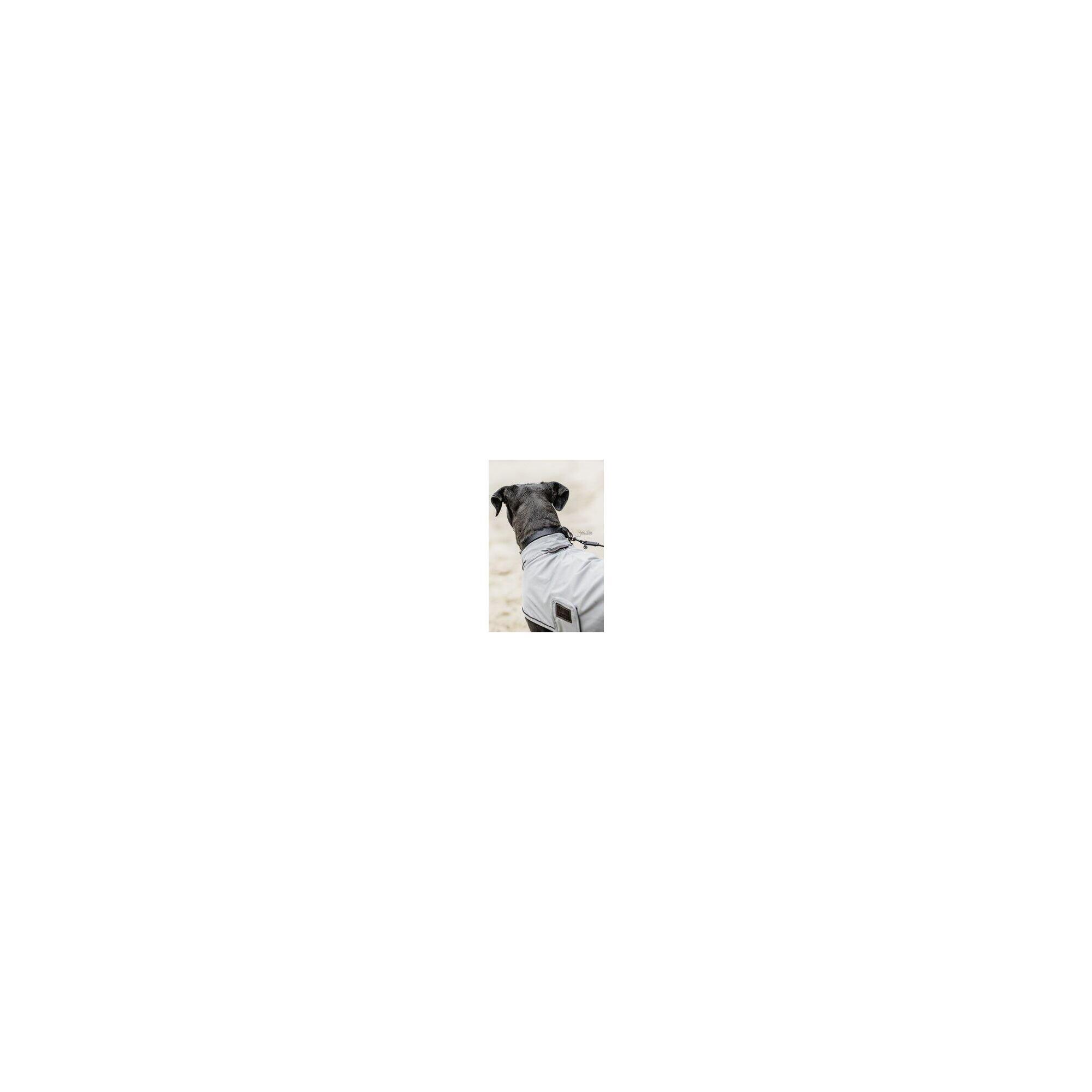 Kentucky Dog Raincoat Blauw -