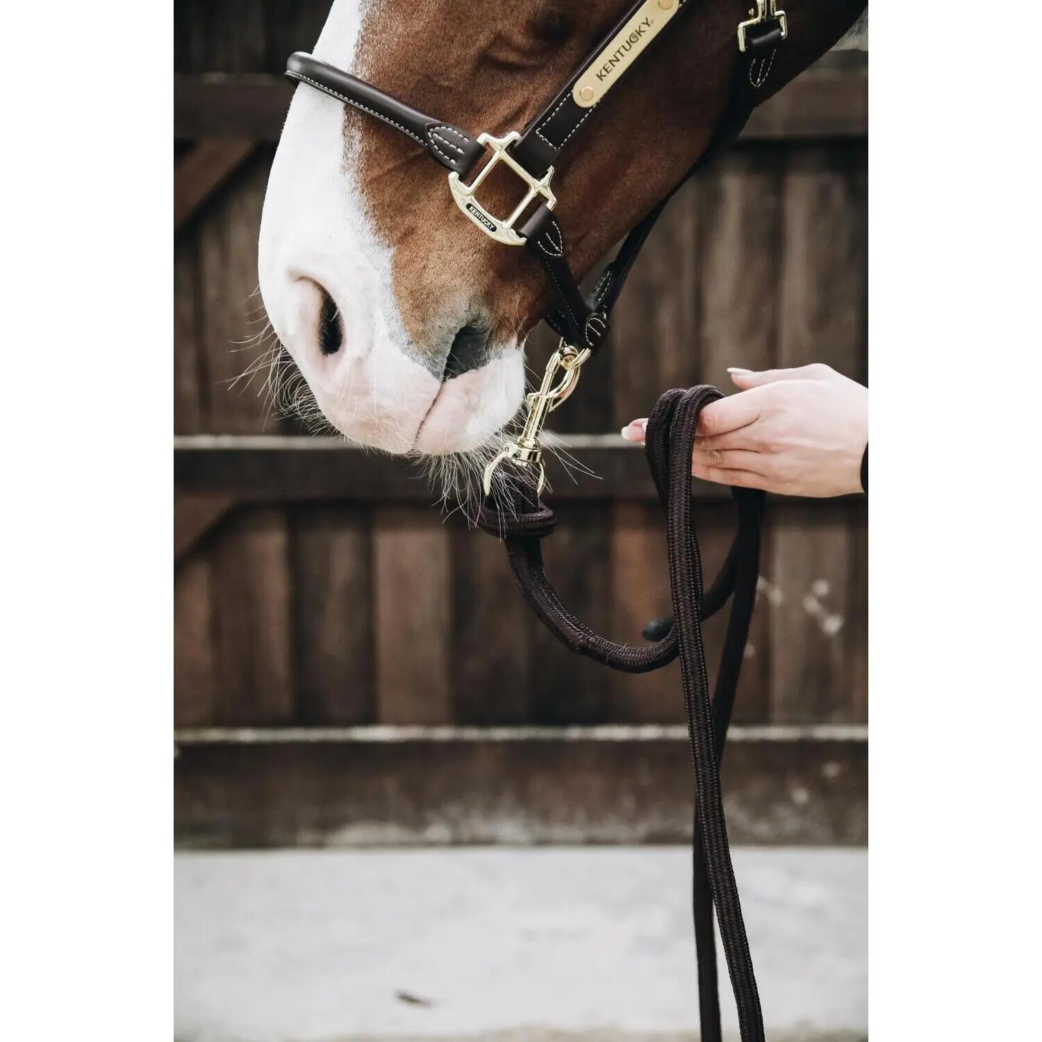 Lunghina cavallo Kentucky Loop Basic 2/2
