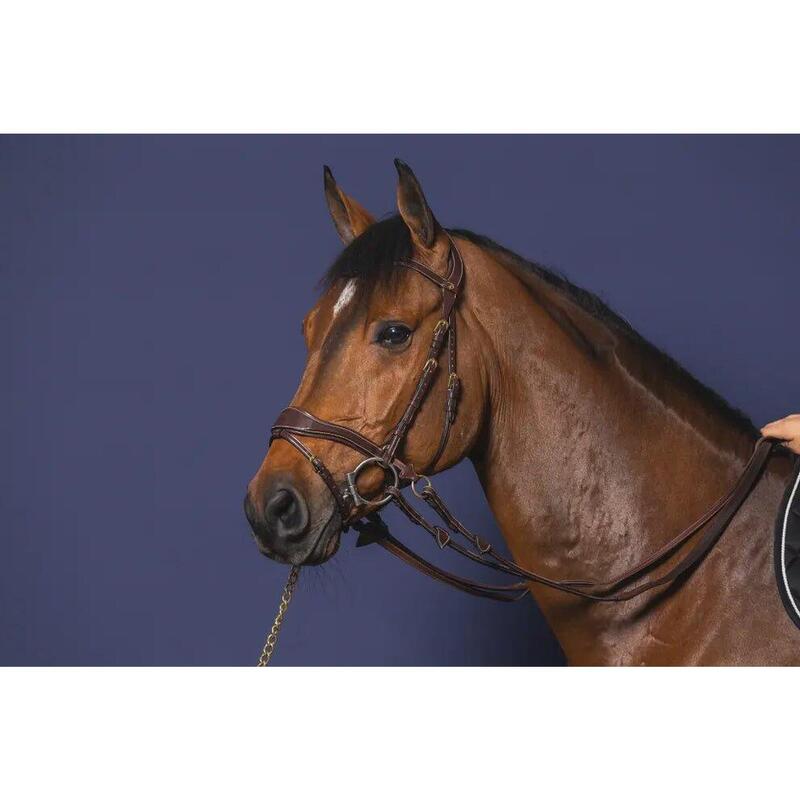 Dy'on D Motion Hoofdstel Bruin -