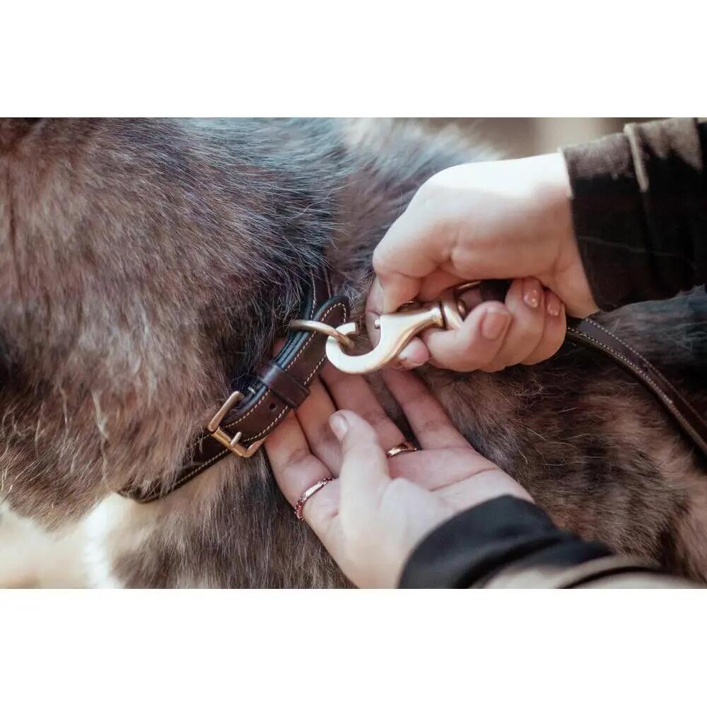 Classic dog leash Dy'on 2/2