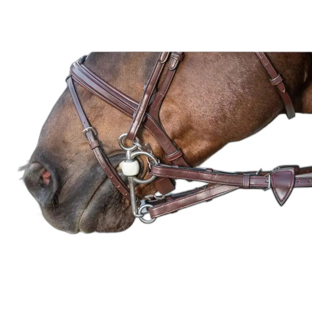Rubber reins for pony with 7 stops Dy'on
