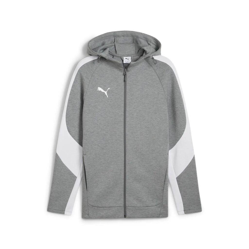 Hooded sweatshirt Puma TeamEvostripe