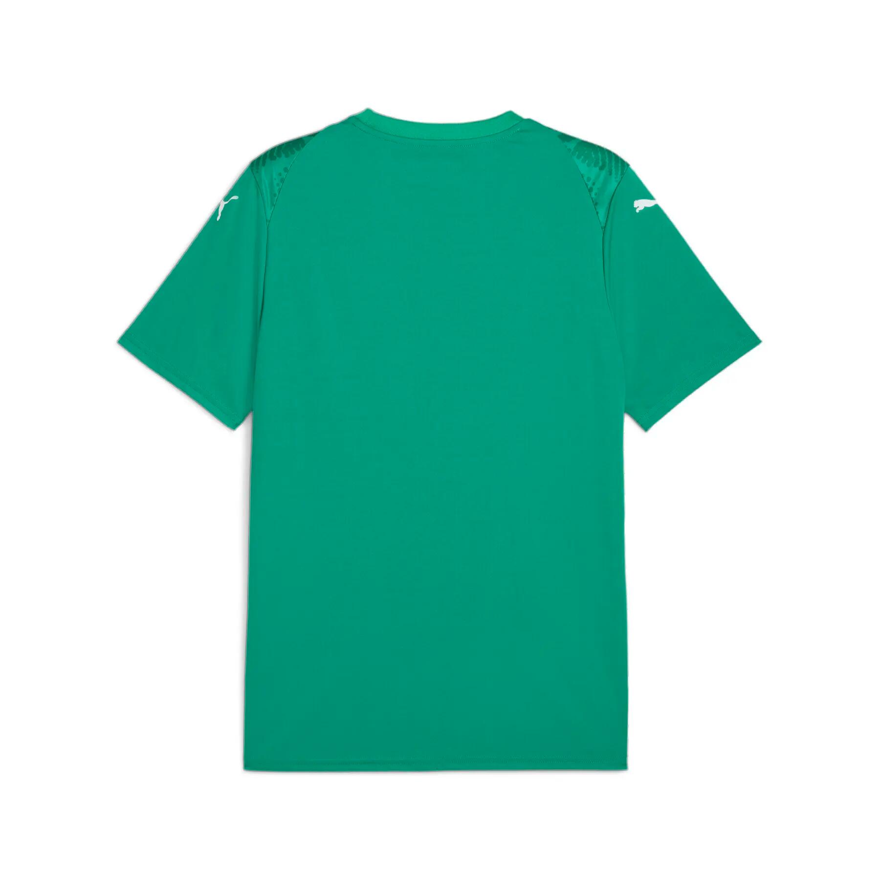 Jersey Puma Team Ultimate 2/2