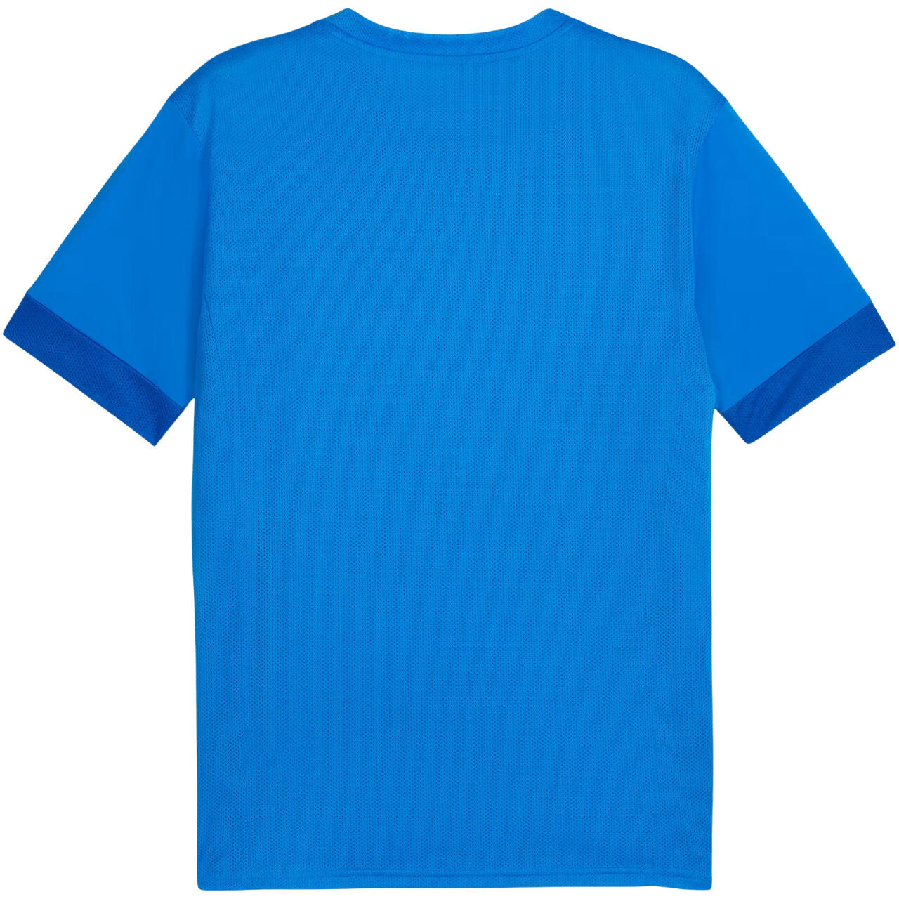 Trikot Puma Teamgoal Matchday 3/7